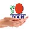 dxn8273