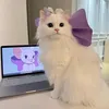 જ⁀➴τωίηκɭε♡
