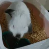 miliii_2344