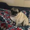 christinabell10