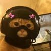 s4rdynka
