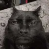 snkizar