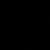 gato_023577
