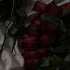 adfzvgcz