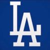daviandodgers