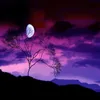 moonlight._.drawer