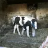 naomigardiner112