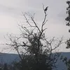04092001m