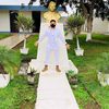 alonso_arica