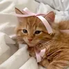euniquestories_