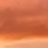 ivonetemelo3