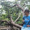 lilyn2