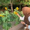 aishah