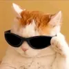 abrahamclzer