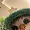 ninidan.005