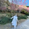 ameliasntka_