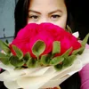 yoriedriani