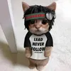livleensoor