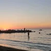 lina_2131