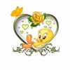 angelicaechever1