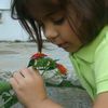 lind_zzz
