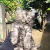 mirrcury21