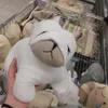 hehehaw0