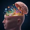 curiosidades news