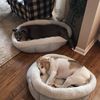 willow6571183alone