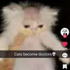 catebecome