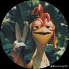 robbbr