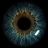david_c_moi59