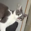 meendraameee