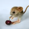 mirapshk