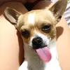 sunnyvikkks