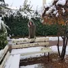 _elena_zazza_