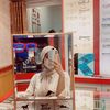 ariess854