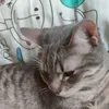 lorenzieze_