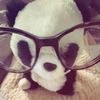 shhilari.h