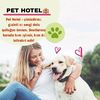 pet_hotel_leo