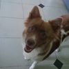 punis_26