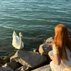 kiszelaura