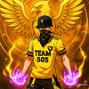 kreck_300k