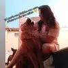 shirleymaced