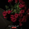 0m_alnoor95