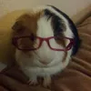 mariiilyy4