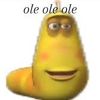zeloading