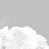 njool_115