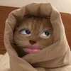 naurr