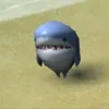 plaiboisharky
